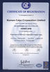 Porcelana Caiye Printing Equipment Co., LTD certificaciones